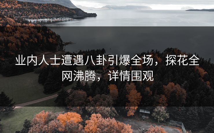 业内人士遭遇八卦引爆全场，探花全网沸腾，详情围观