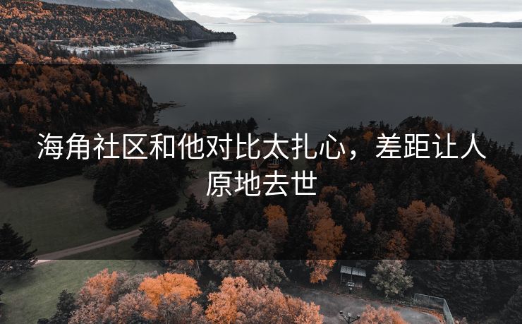 海角社区和他对比太扎心，差距让人原地去世