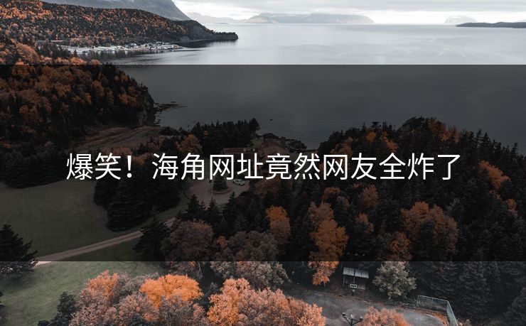 爆笑！海角网址竟然网友全炸了