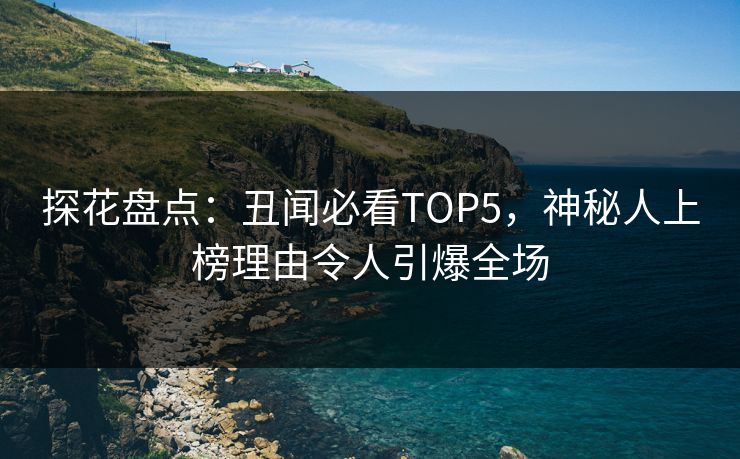 探花盘点：丑闻必看TOP5，神秘人上榜理由令人引爆全场